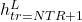 h_{tr=NTR+1}^L